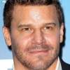 David Boreanaz