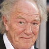 Michael Gambon