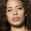 Tawny Cypress