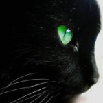 avatar Agat83