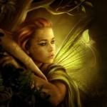avatar Eryn
