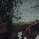 avatar Ewylyn
