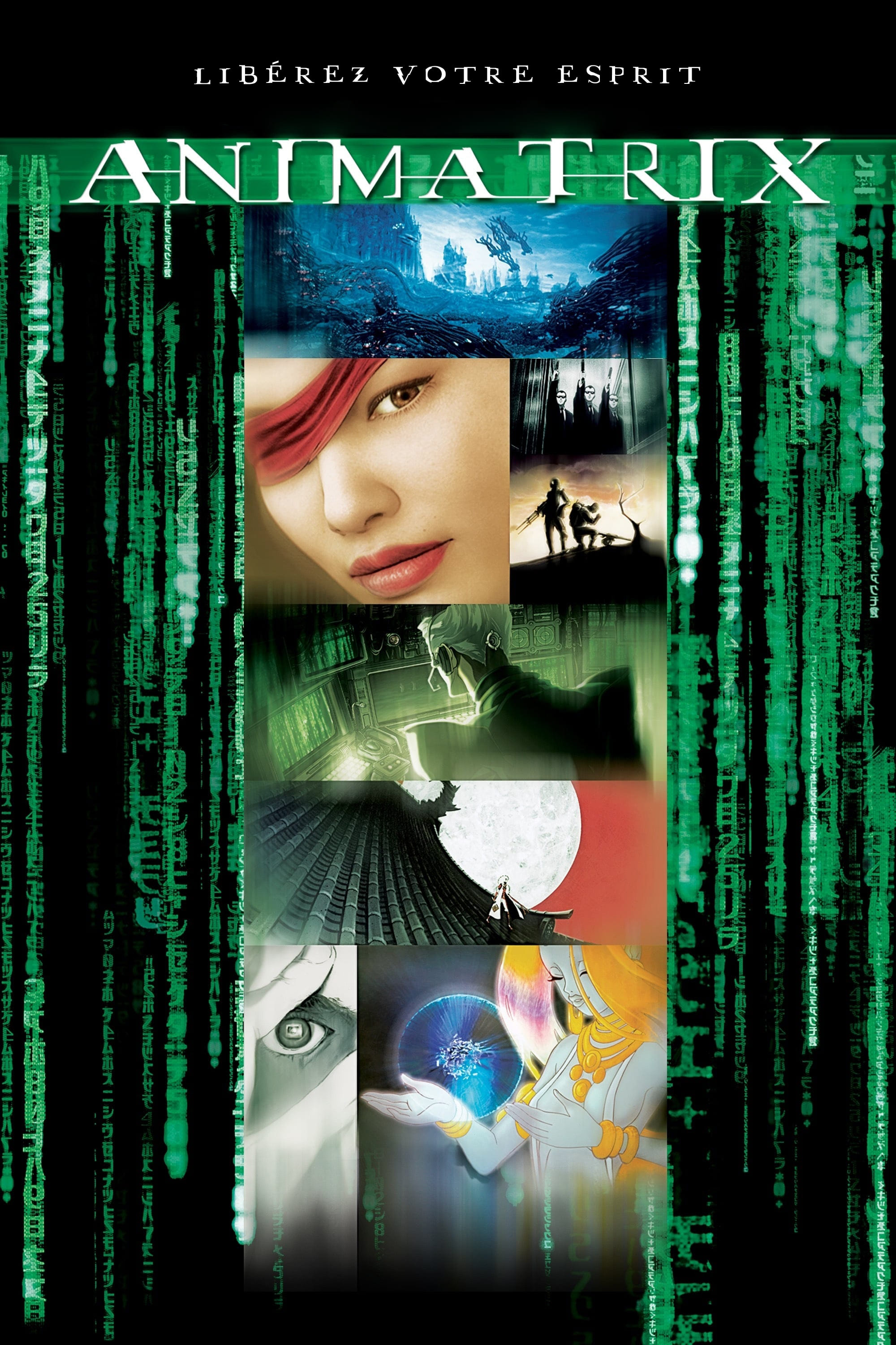 affiche du film Animatrix