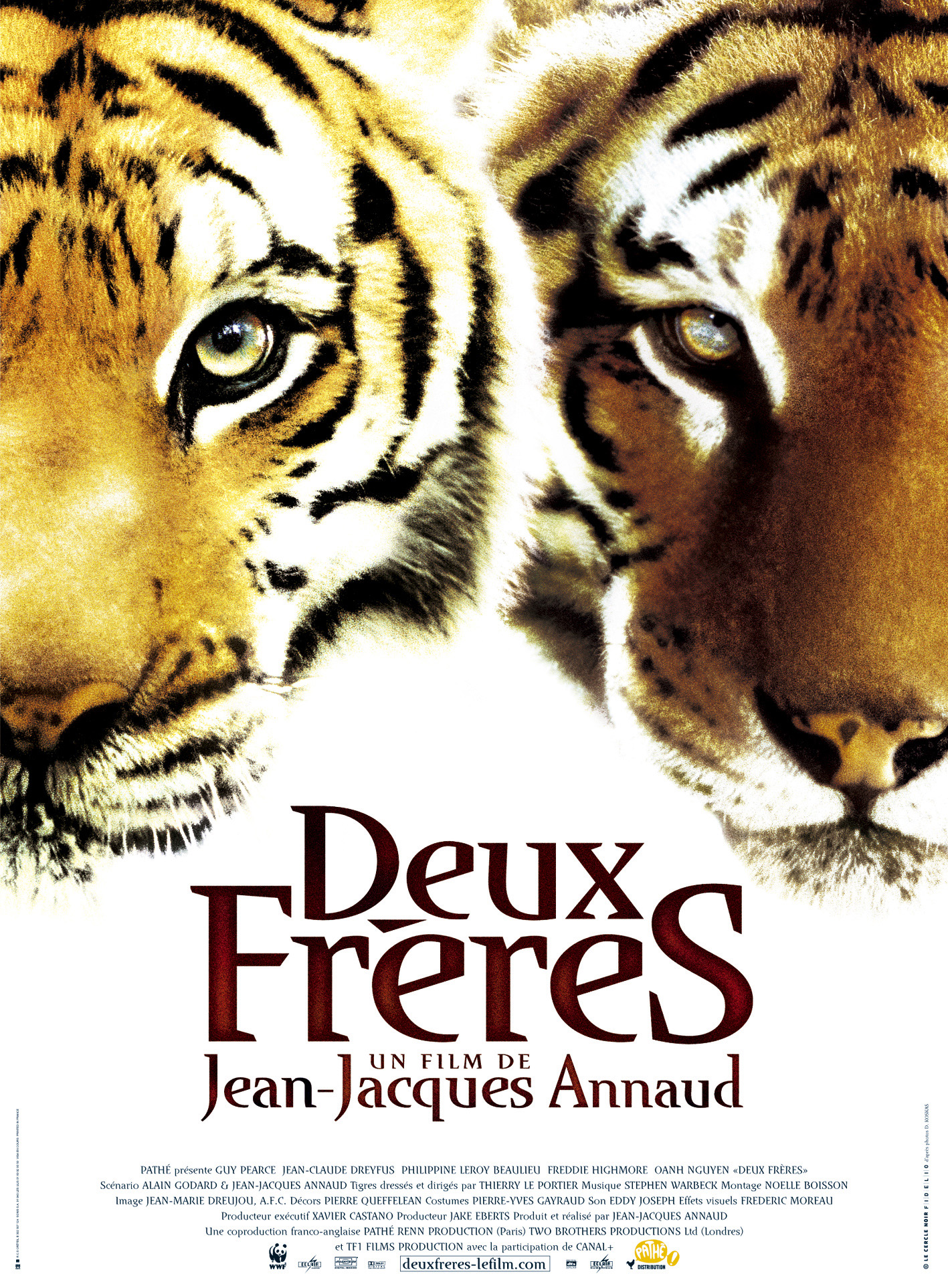 affiche du film Deux frères