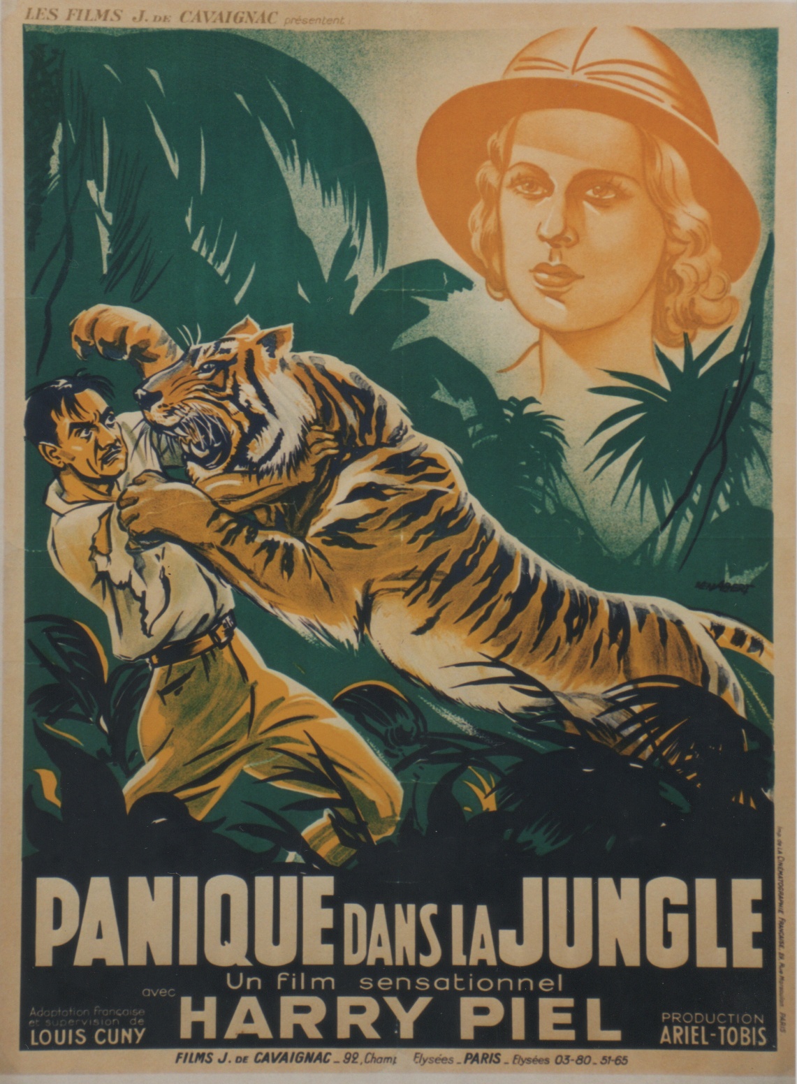 affiche du film Panique dans la jungle