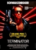 Terminator (The Terminator)