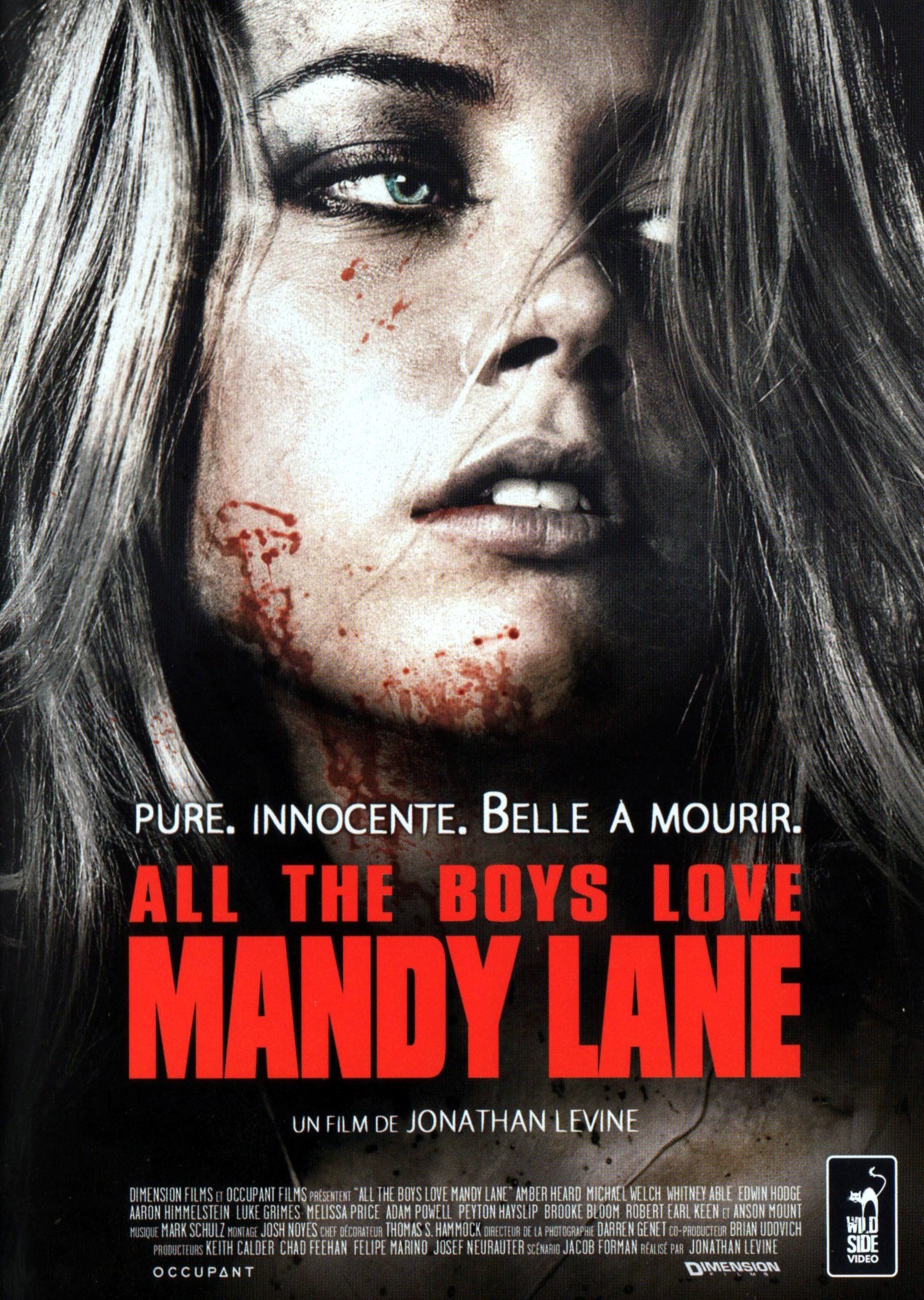 affiche du film Tous les garçons aiment Mandy Lane