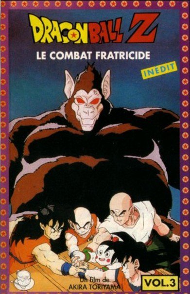affiche du film Dragon Ball Z : Le Combat Fratricide