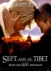 Sept ans au Tibet (Seven Years in Tibet)