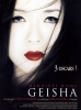 Mémoires d'une geisha (Memoirs of a Geisha)