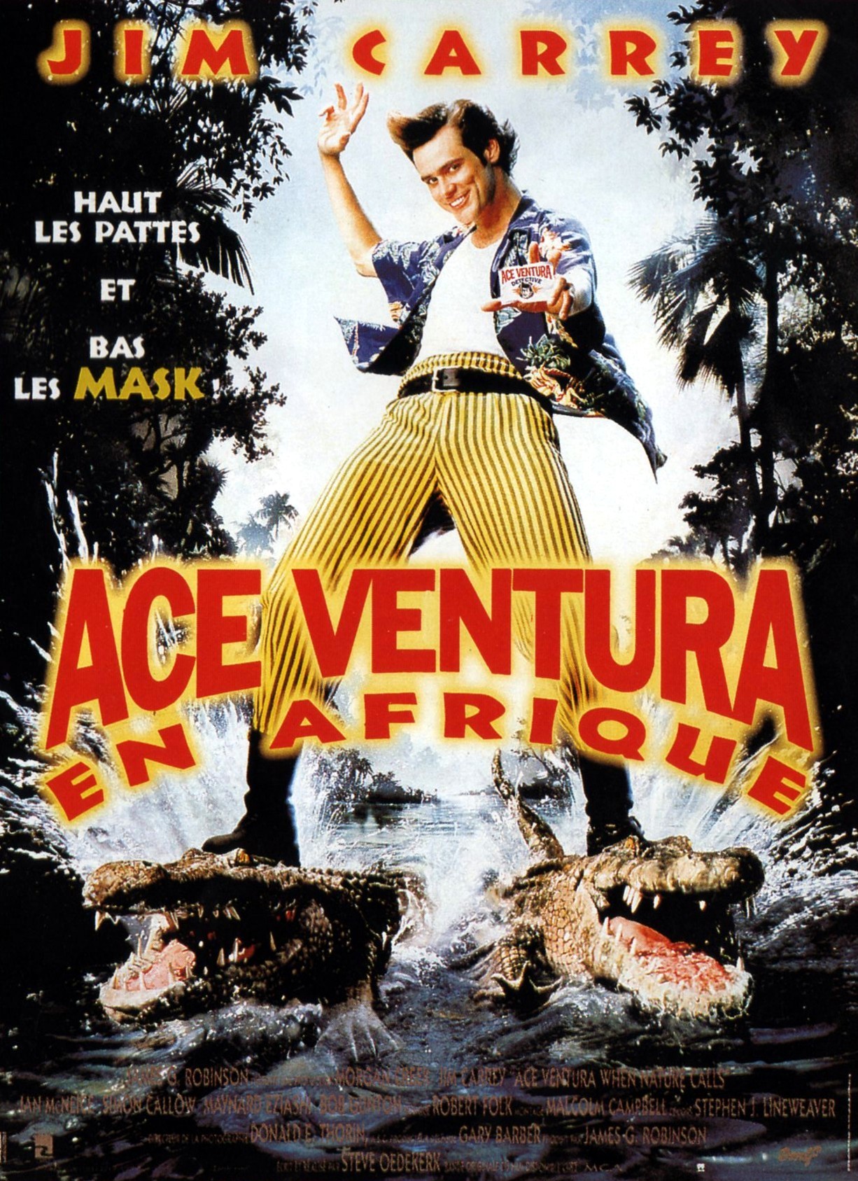 affiche du film Ace Ventura en Afrique