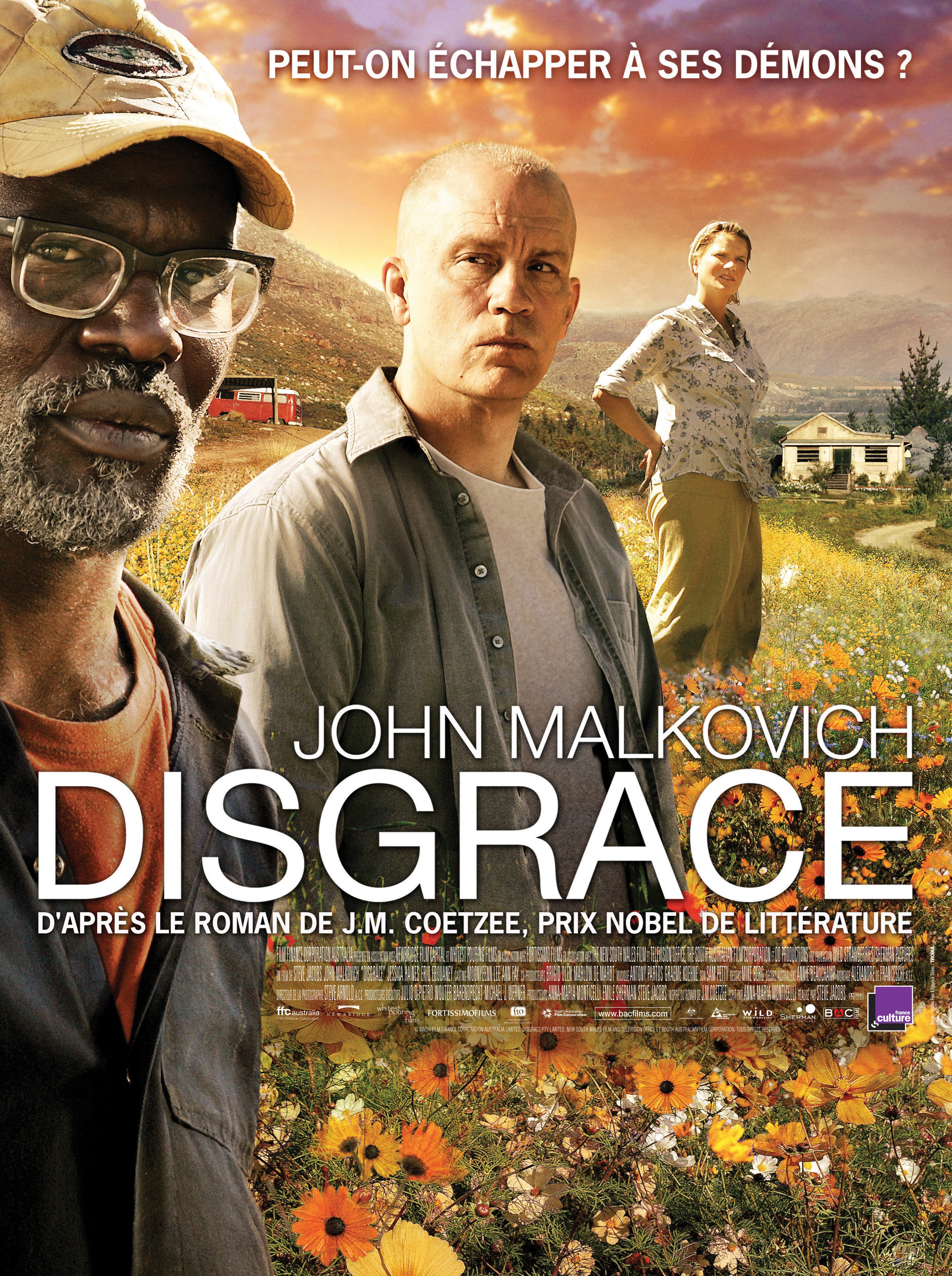 affiche du film Disgrace