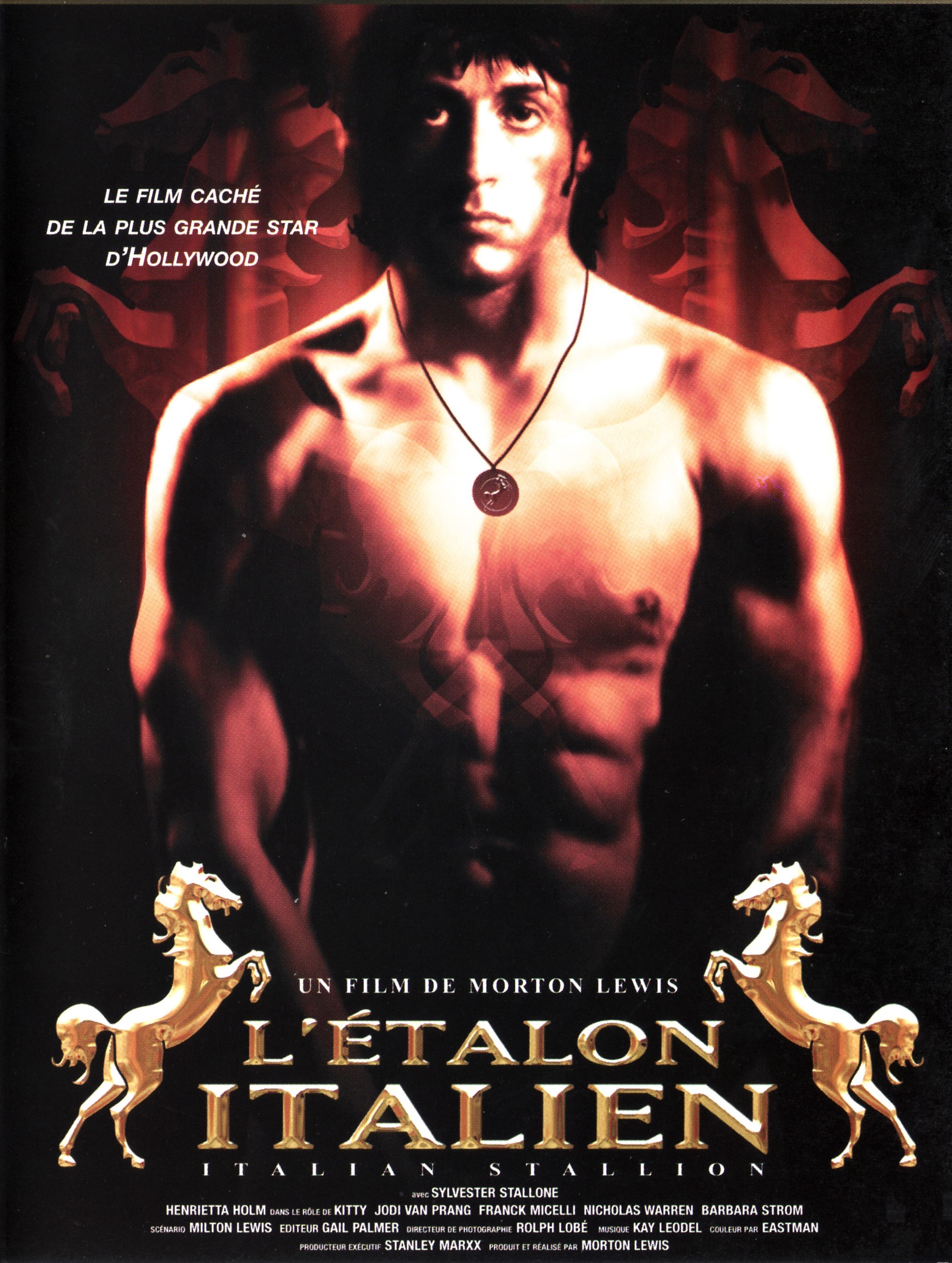 affiche du film L'étalon italien