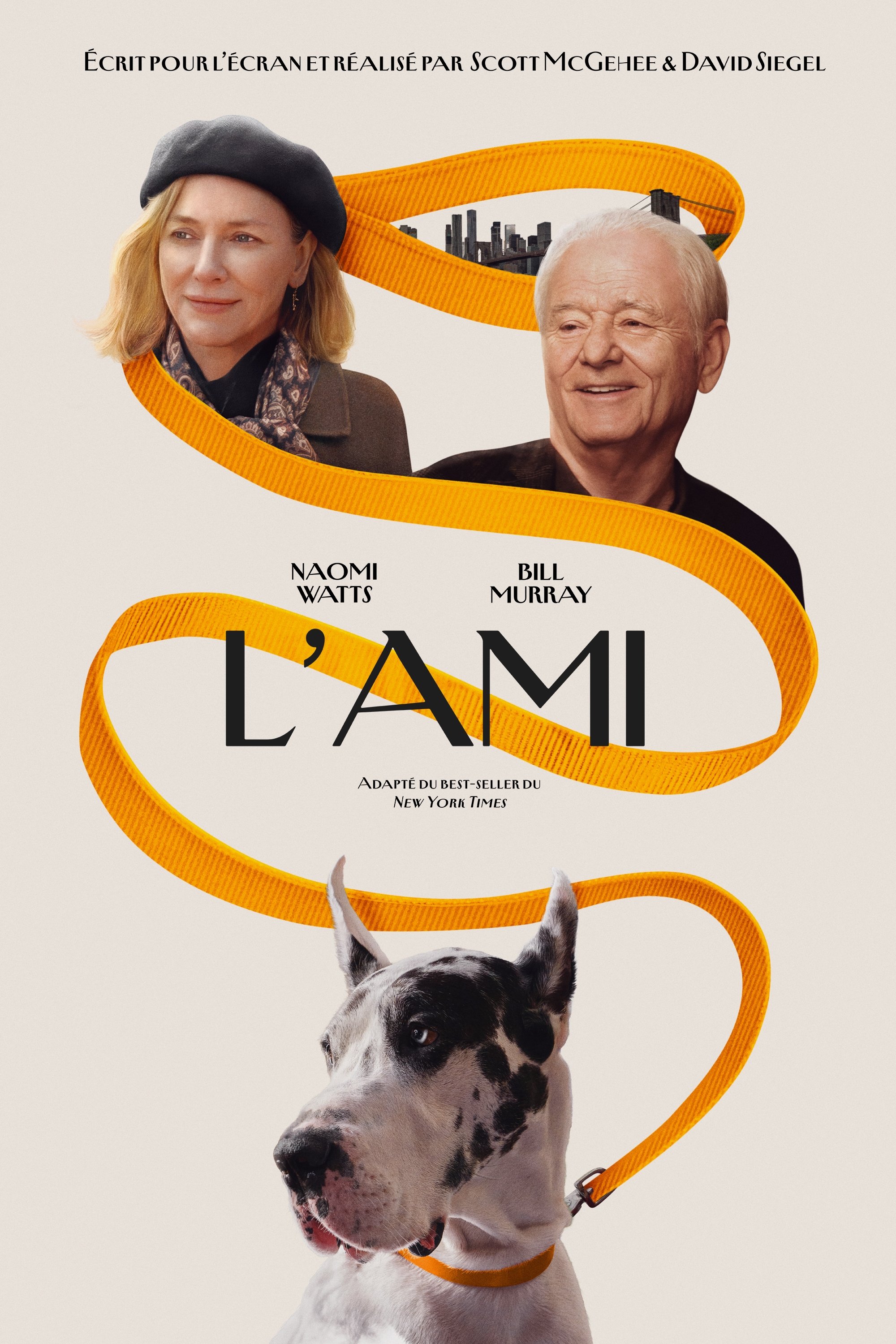 affiche du film L'ami