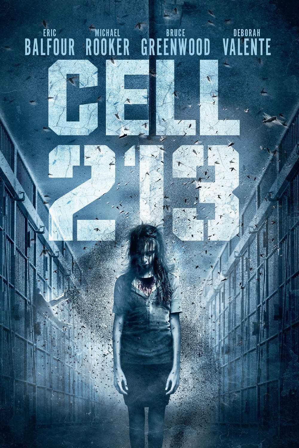 affiche du film Cell 213