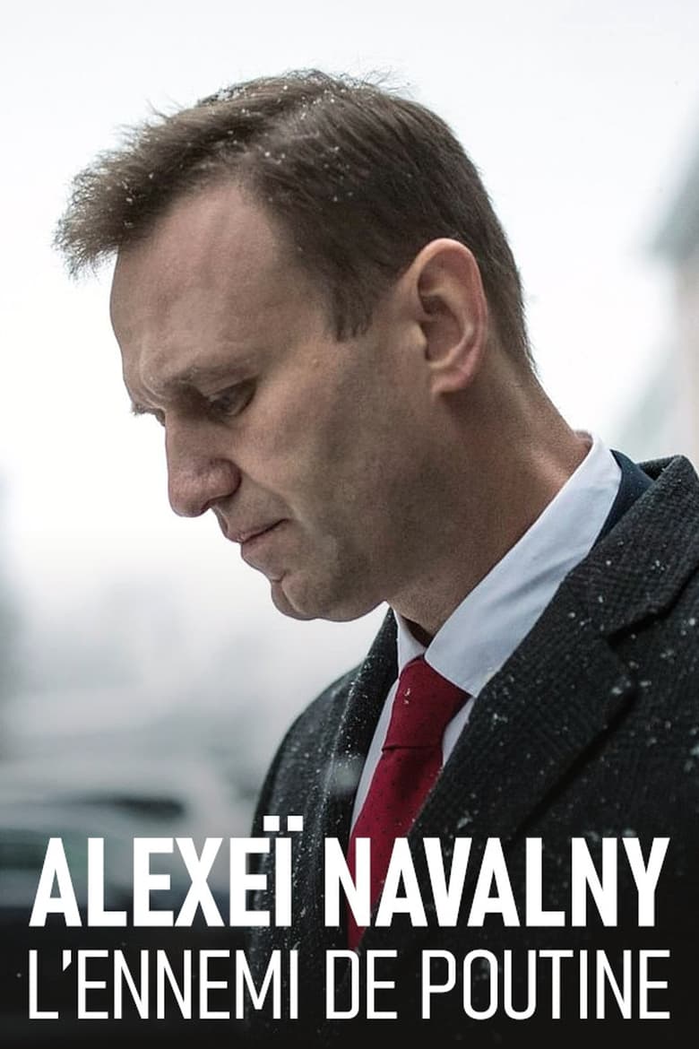 affiche du film Alexeï Navalny, l'ennemi de Poutine