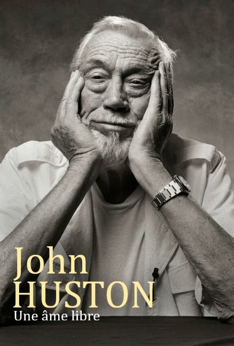 affiche du film John Huston, une âme libre