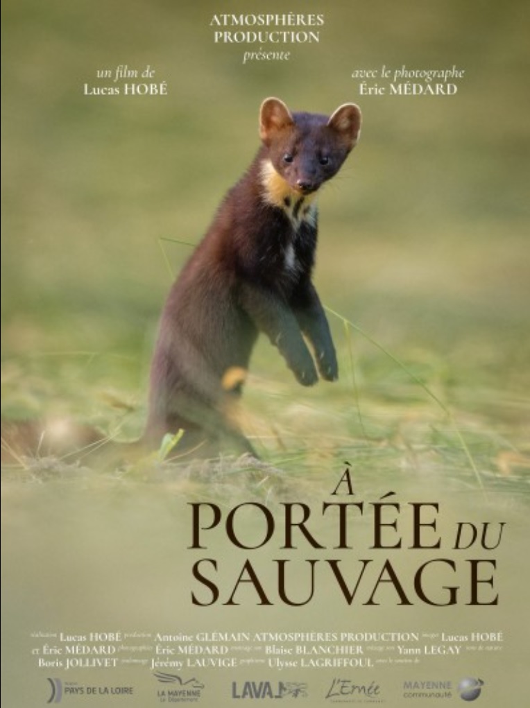 affiche du film À portée du sauvage