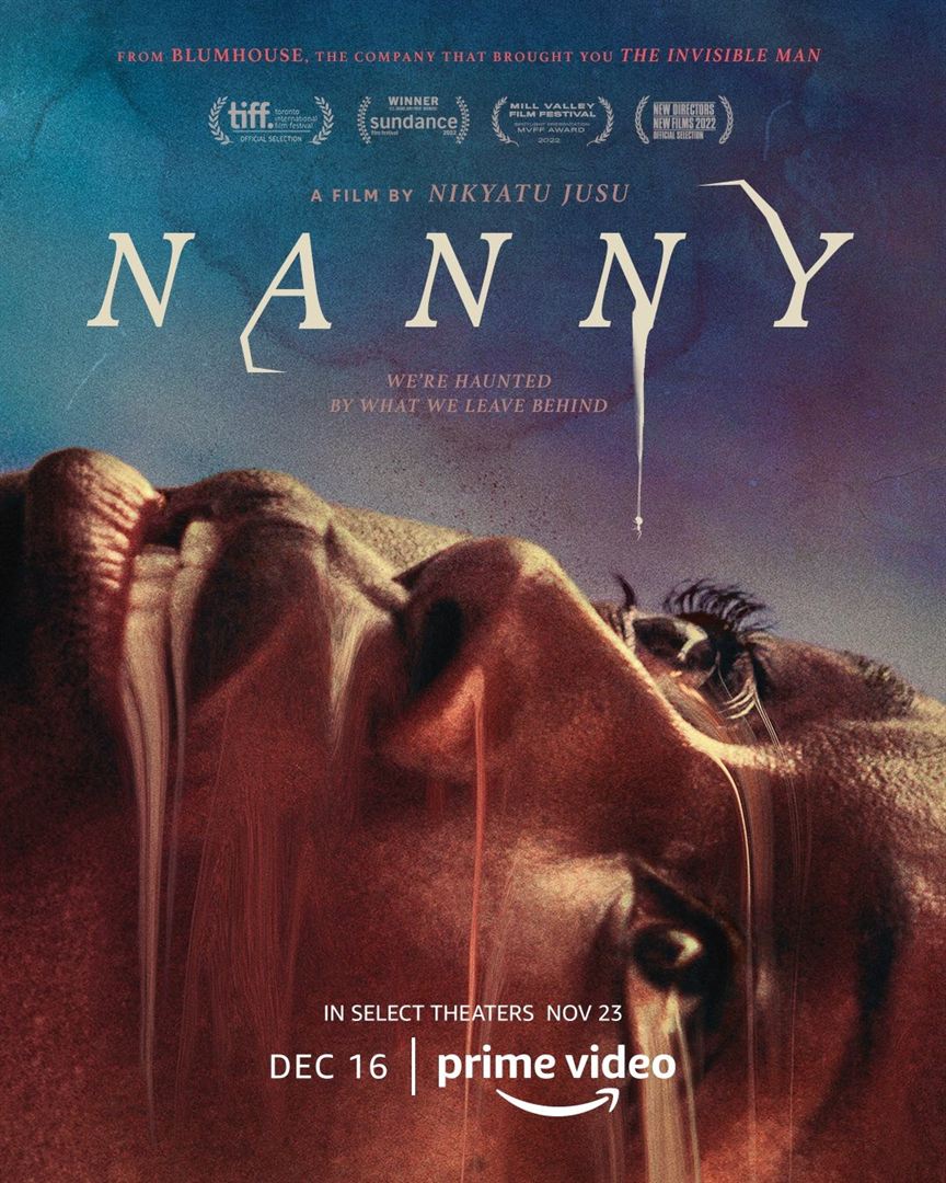 affiche du film Nanny