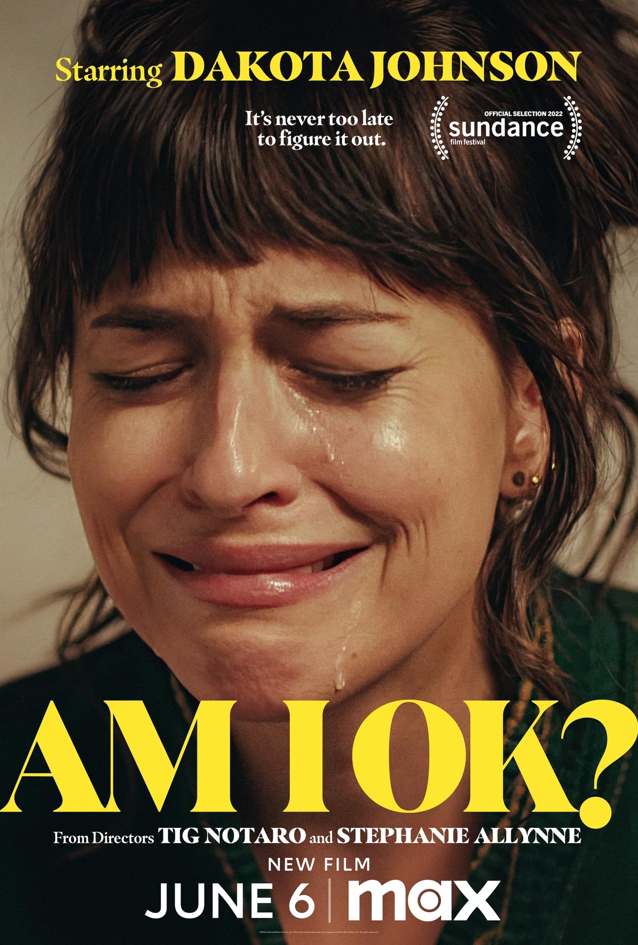 affiche du film Am I Ok?