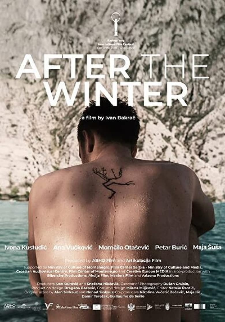 affiche du film After the Winter