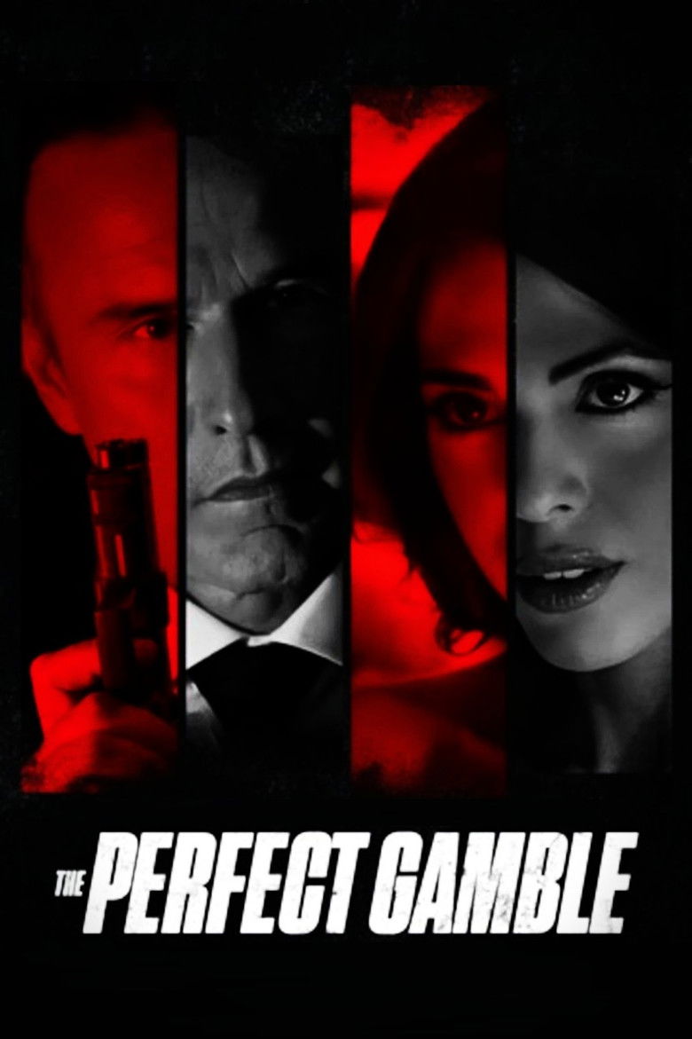 affiche du film The Perfect Gamble