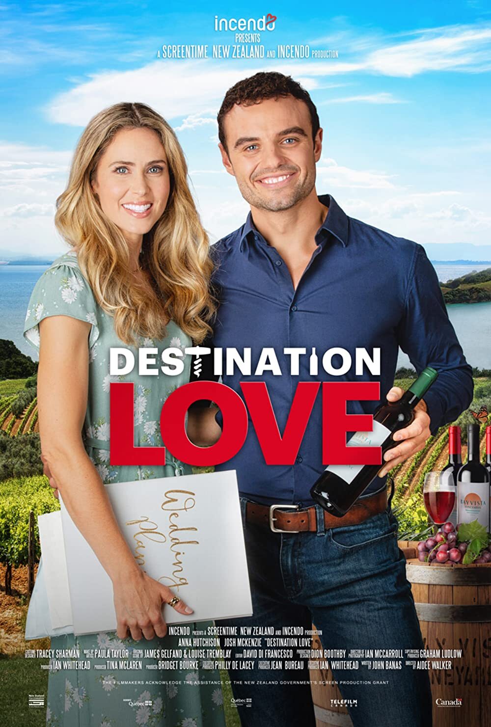 affiche du film Destination Love