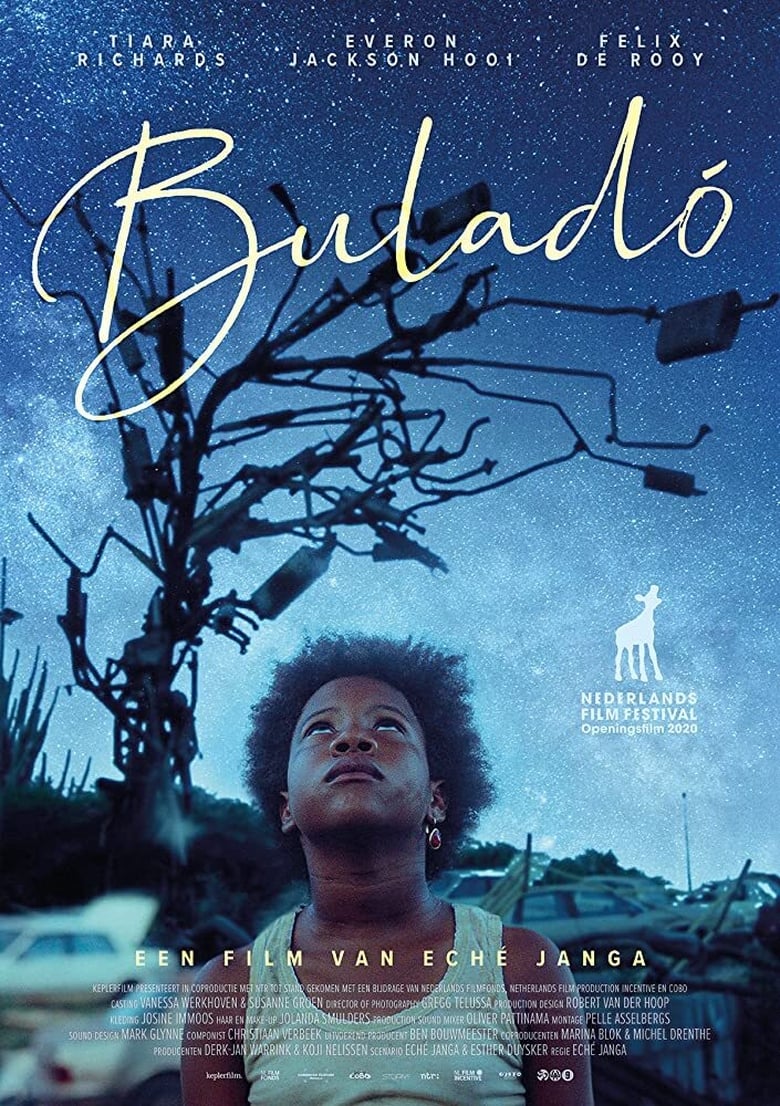 affiche du film Buladó