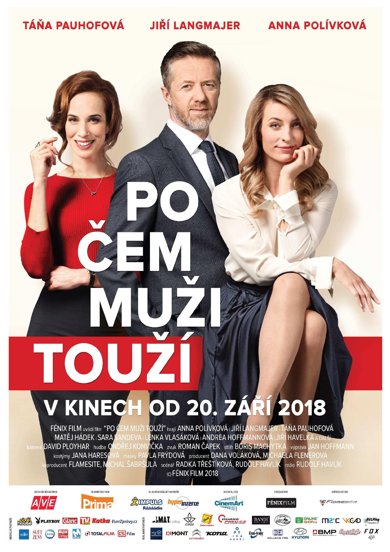 affiche du film Po čem muži touží