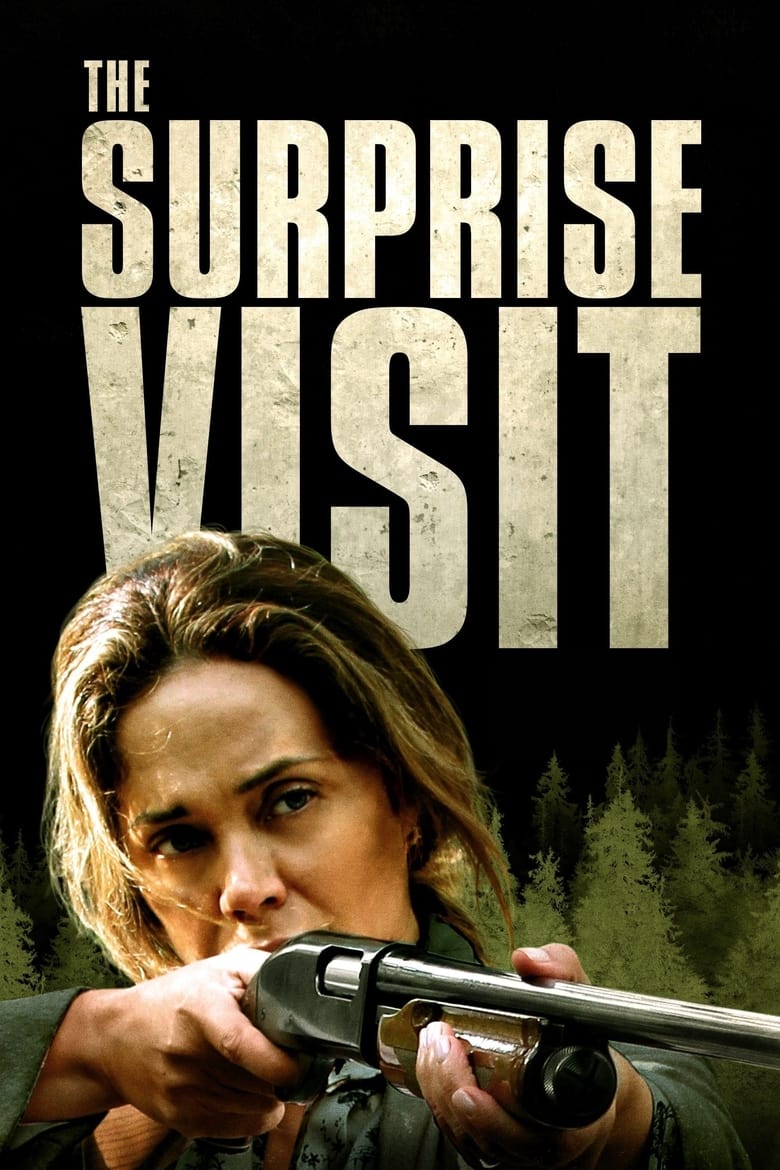 affiche du film The Surprise Visit