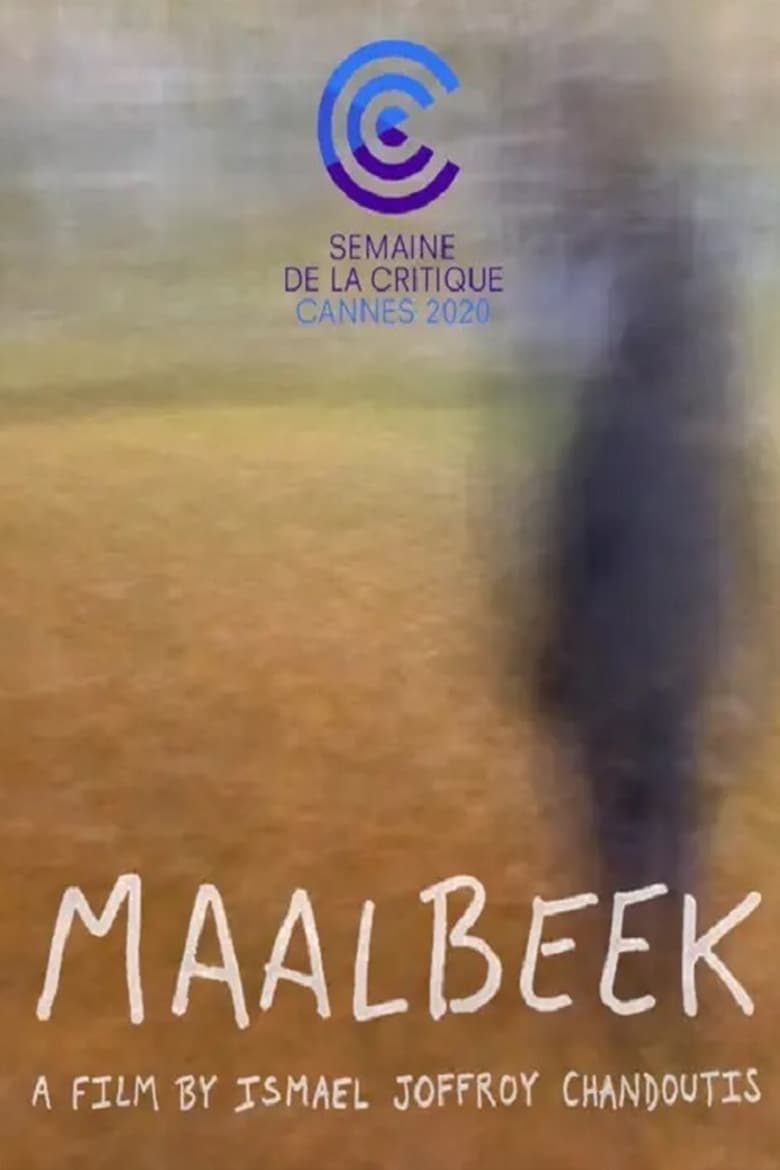 affiche du film Maalbeek