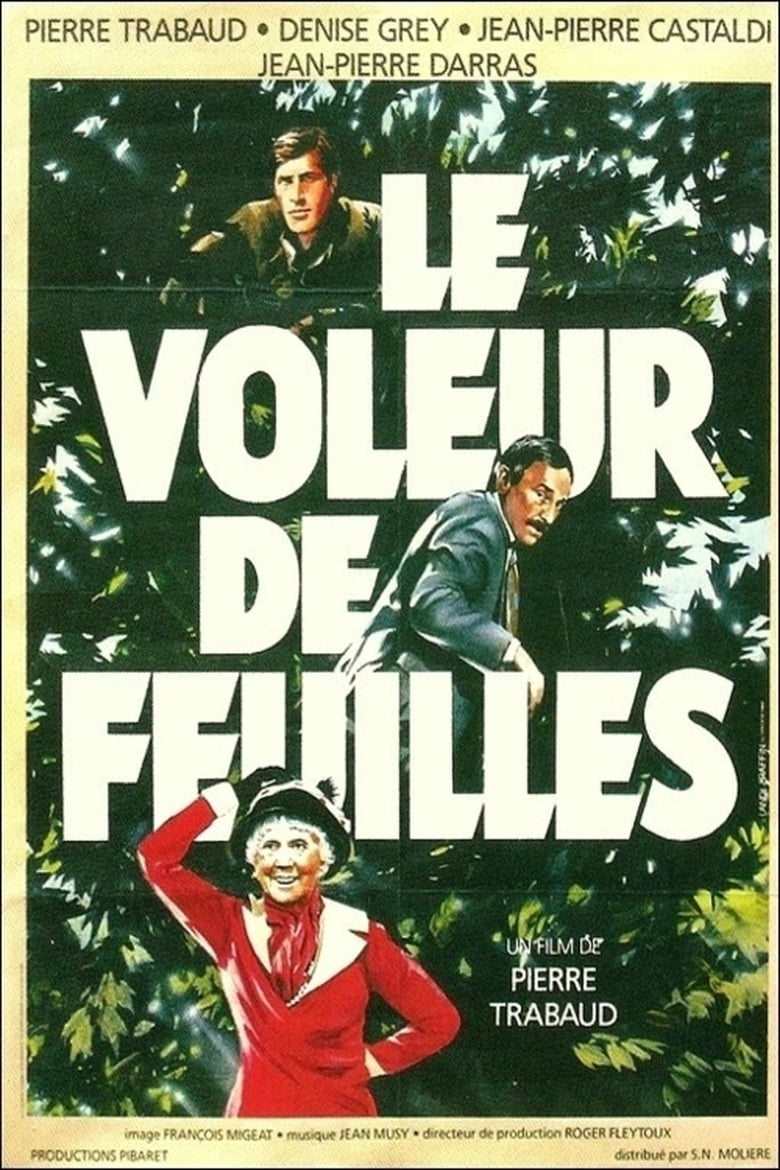 affiche du film Le voleur de feuilles