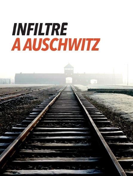 affiche du film Infiltré à Auschwitz