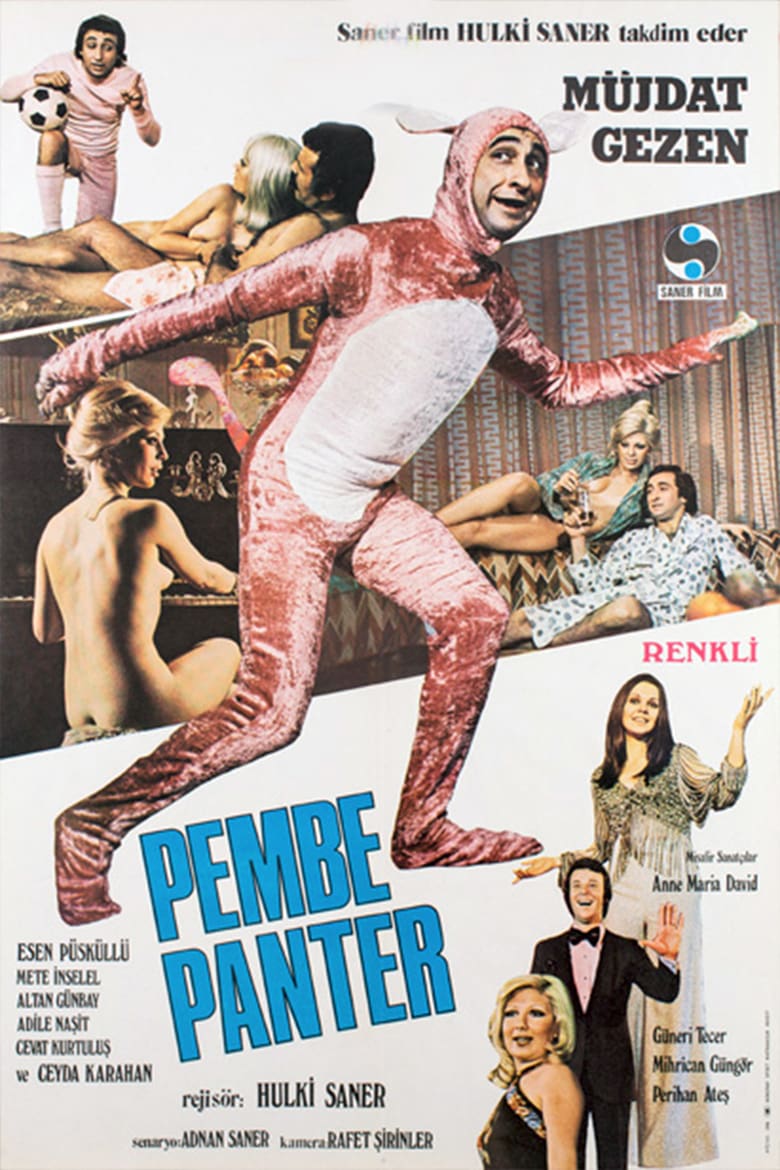 affiche du film Pembe Panter