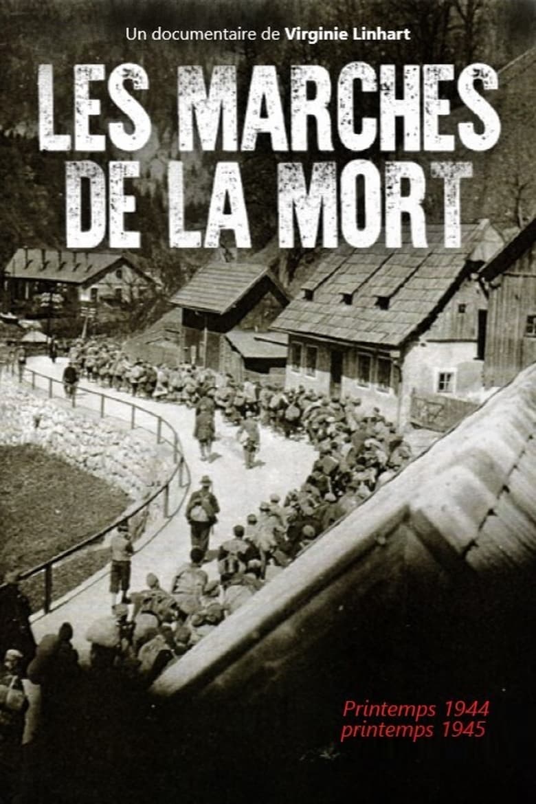 affiche du film Les marches de la mort : Printemps 1944 - printemps 1945
