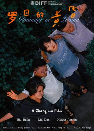 affiche du film Gloaming in Luomu