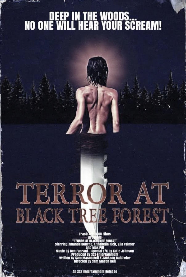 affiche du film Terror at Black Tree Forest