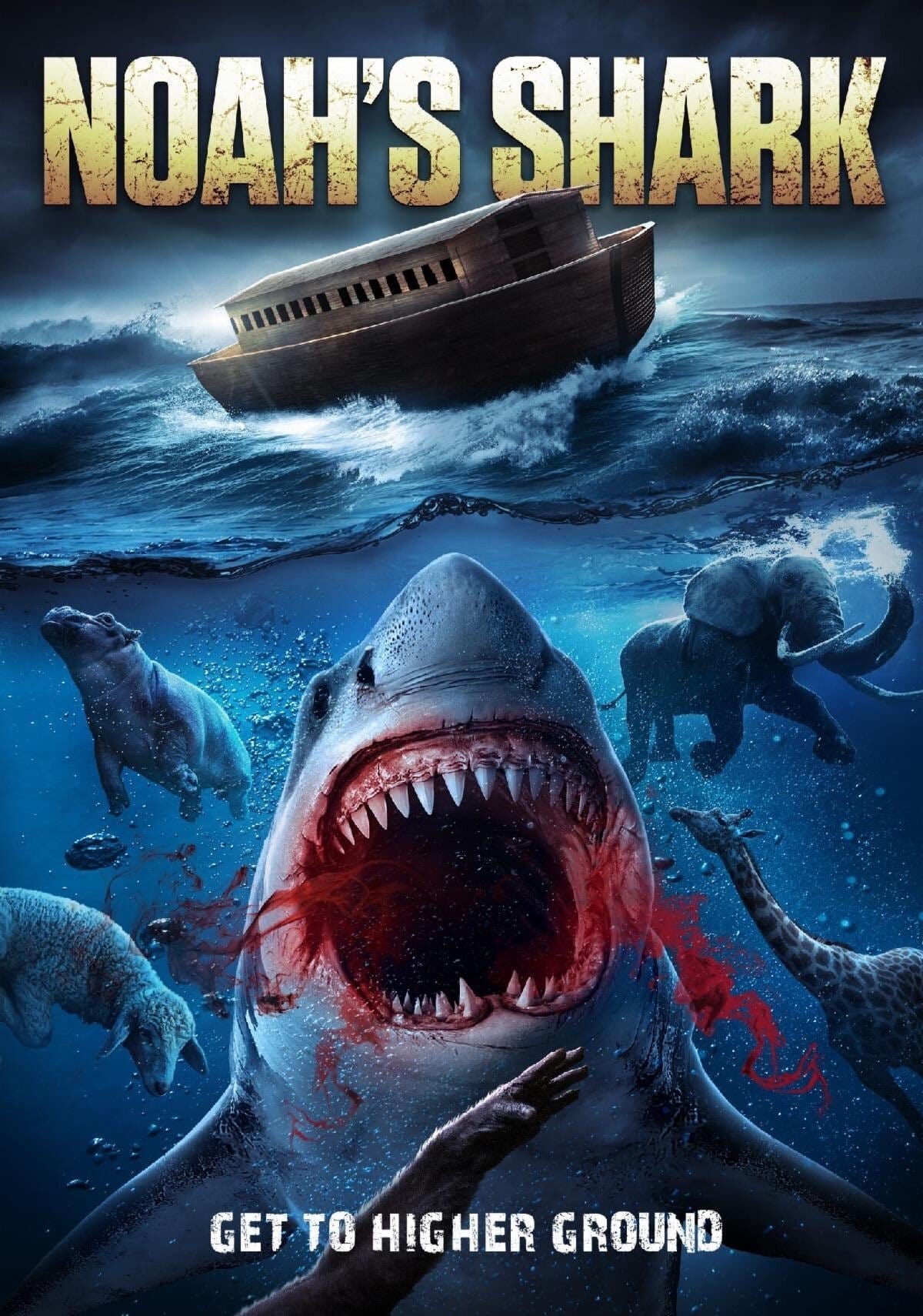 affiche du film Noah's shark