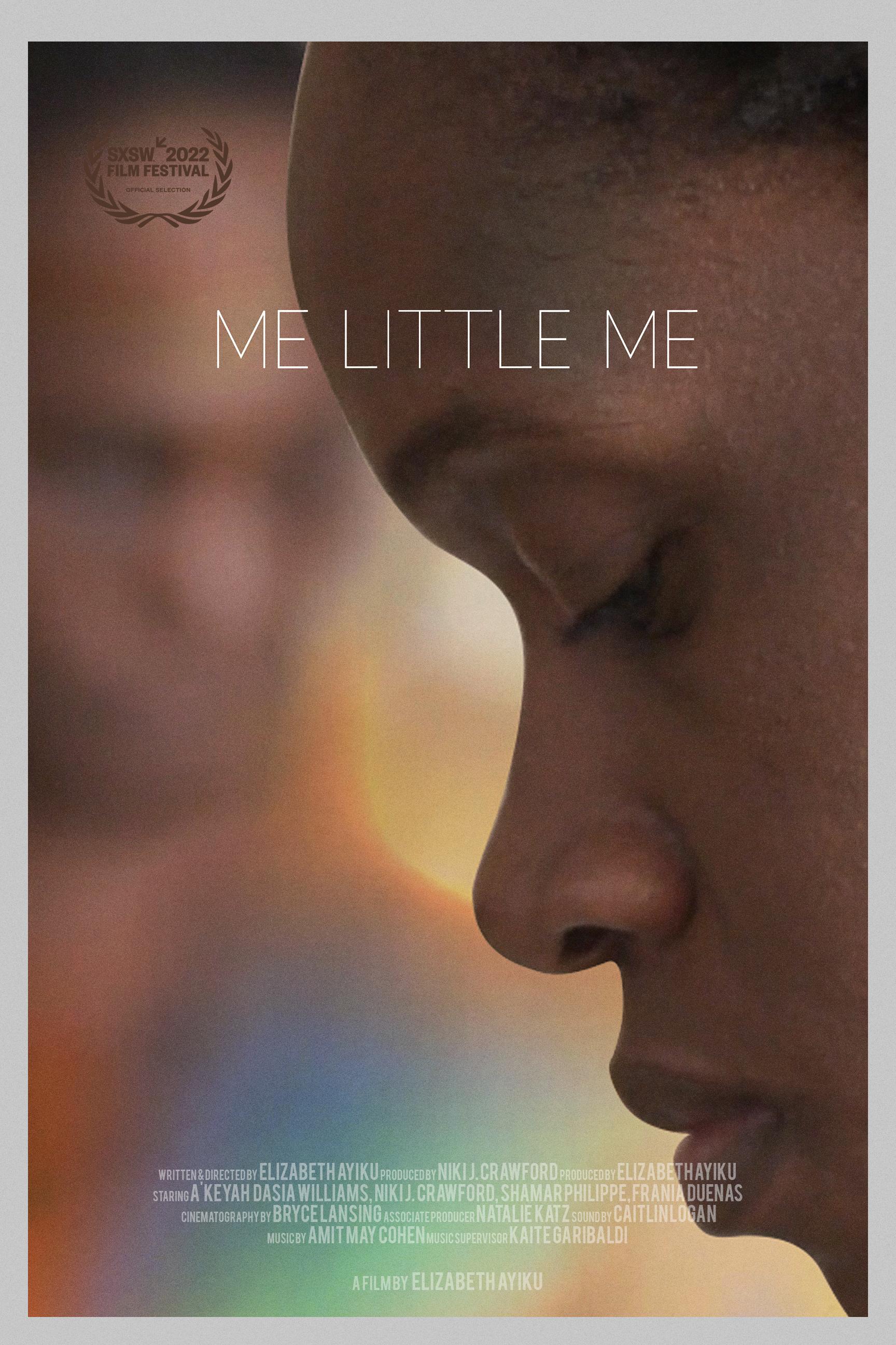 affiche du film Me Little Me