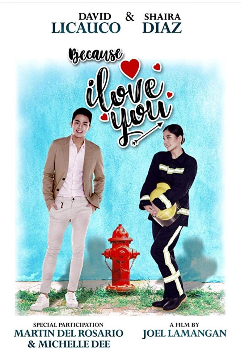 affiche du film Because I Love You