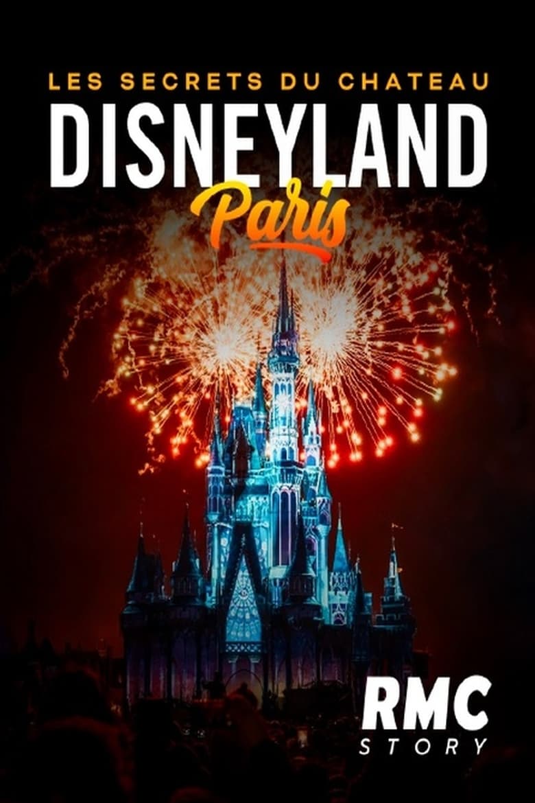 affiche du film Disneyland : Les Secrets du Château