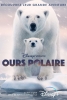 Ours polaire (Polar Bear)