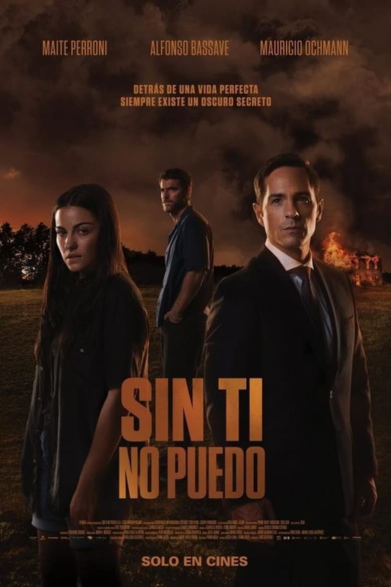 affiche du film Sin ti no puedo