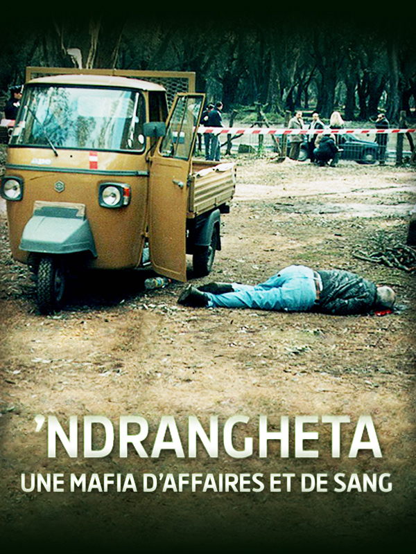 affiche du film 'Ndrangheta, une mafia d'affaires et de sang