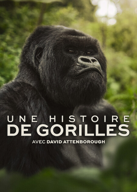 affiche du film Une histoire de gorilles avec David Attenborough