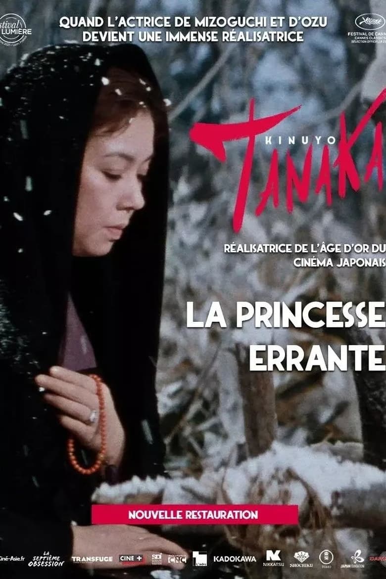 affiche du film La princesse errante