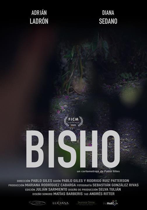 affiche du film Bisho