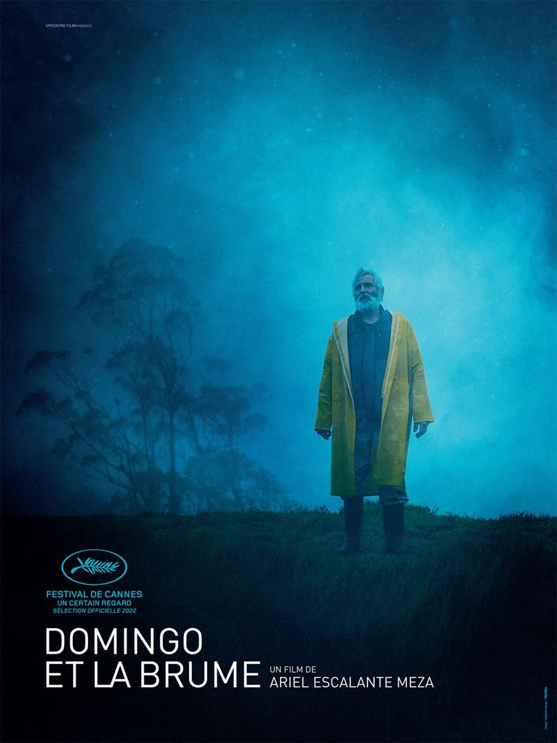 affiche du film Domingo et la brume
