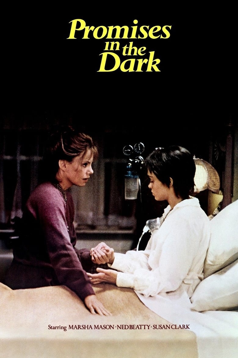 affiche du film Promises in the Dark