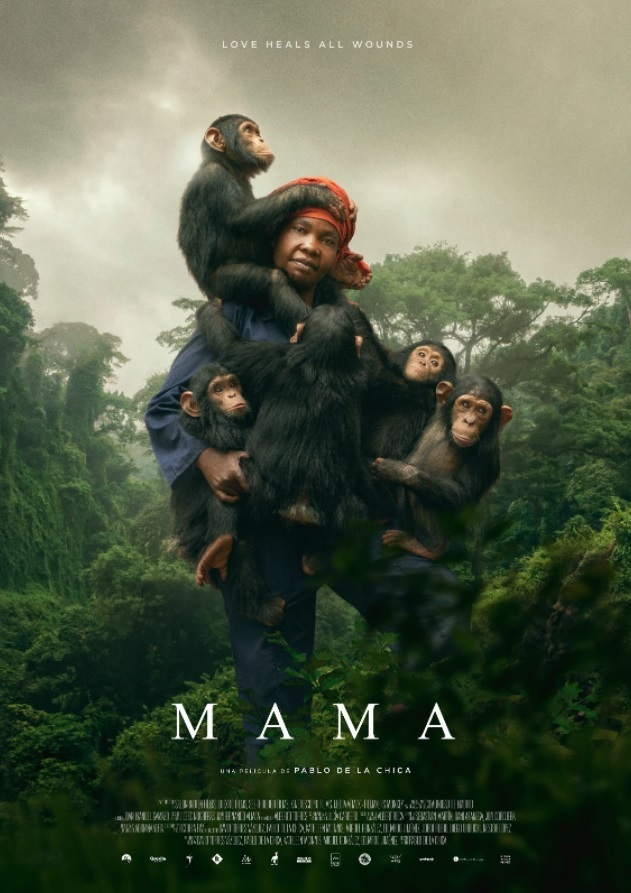 affiche du film Mama